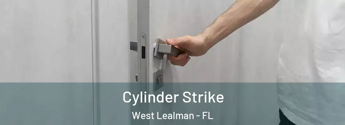  Cylinder Strike West Lealman - FL